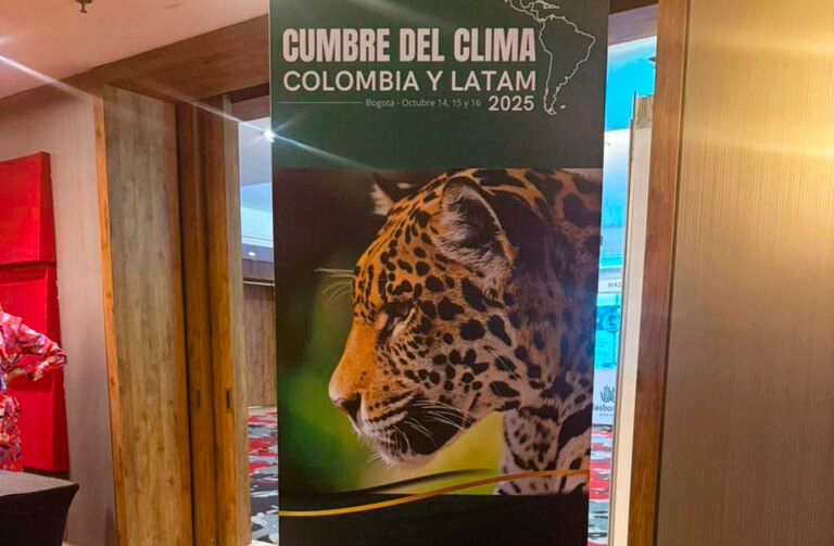 WhatsApp Image 2025-10-24 at 8.08.39 AM (1)