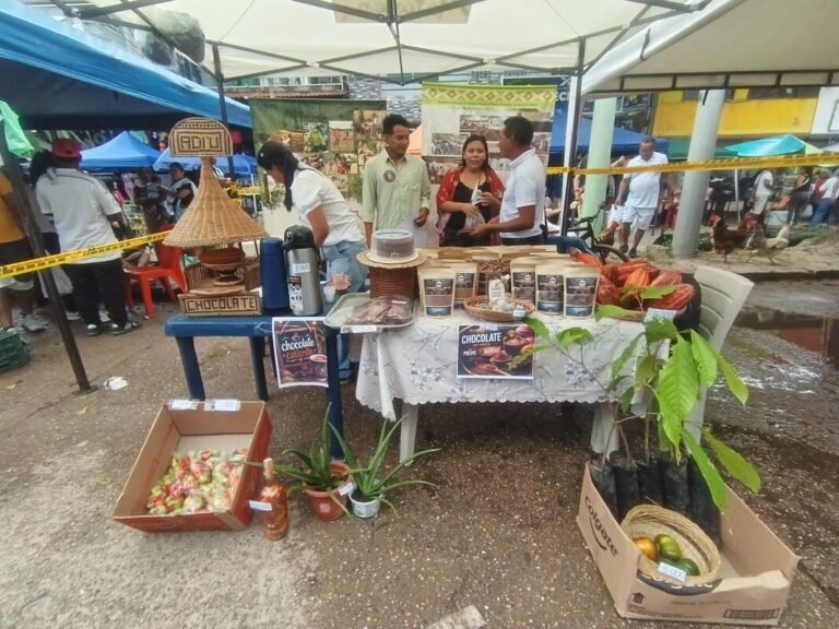 FOTO_04_RS38122_9_scr